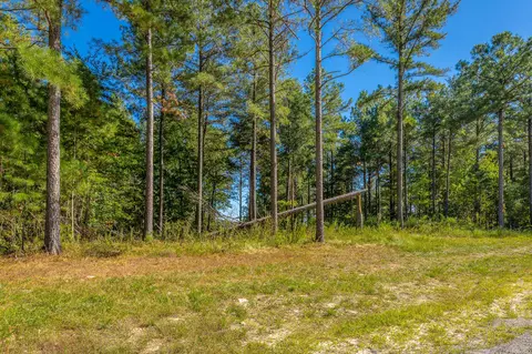 0 Split Rail Way #LOT 1372, Guild, TN 37340 photo 21