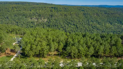 0 Split Rail Way #LOT 1372, Guild, TN 37340 photo 47