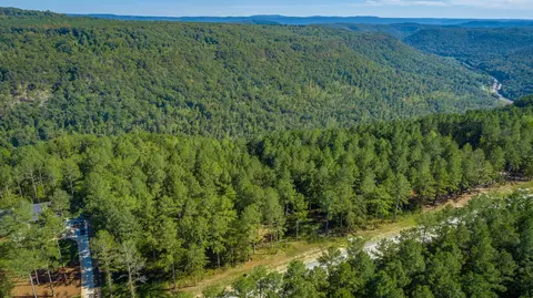 0 Split Rail Way #LOT 1372, Guild, TN 37340 photo 55