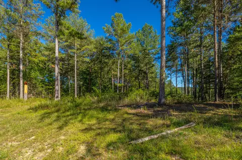 0 Split Rail Way #LOT 1372, Guild, TN 37340 photo 24
