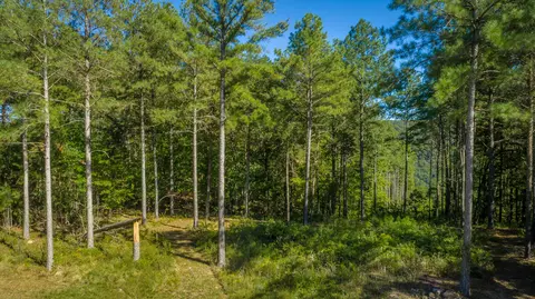 0 Split Rail Way #LOT 1372, Guild, TN 37340 photo 35