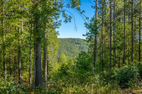0 Split Rail Way #LOT 1372, Guild, TN 37340