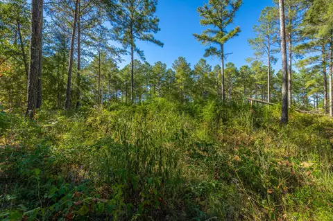 0 Split Rail Way #LOT 1372, Guild, TN 37340 photo 28