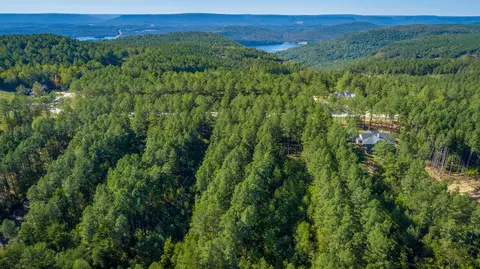 0 Split Rail Way #LOT 1372, Guild, TN 37340 photo 51