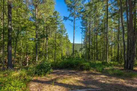 0 Split Rail Way #LOT 1372, Guild, TN 37340 photo 2