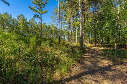 0 Split Rail Way #LOT 1372, Guild, TN 37340 photo 27