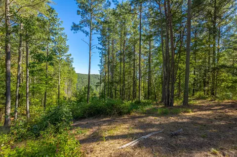 0 Split Rail Way #LOT 1372, Guild, TN 37340 photo 8