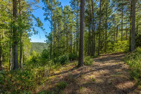0 Split Rail Way #LOT 1372, Guild, TN 37340 photo 7