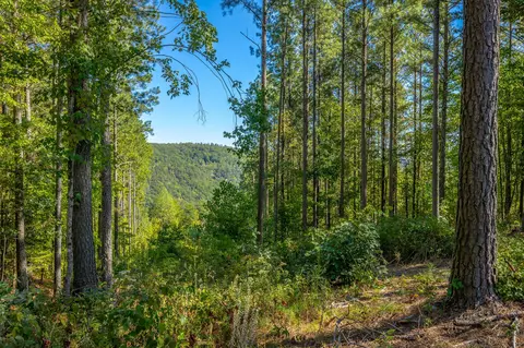 0 Split Rail Way #LOT 1372, Guild, TN 37340 photo 6