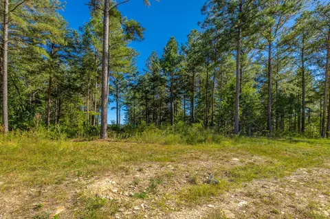0 Split Rail Way #LOT 1372, Guild, TN 37340 photo 22