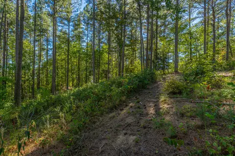 0 Split Rail Way #LOT 1372, Guild, TN 37340 photo 31