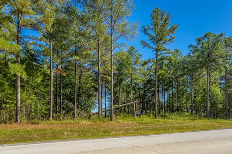 0 Split Rail Way #LOT 1372, Guild, TN 37340 photo 19