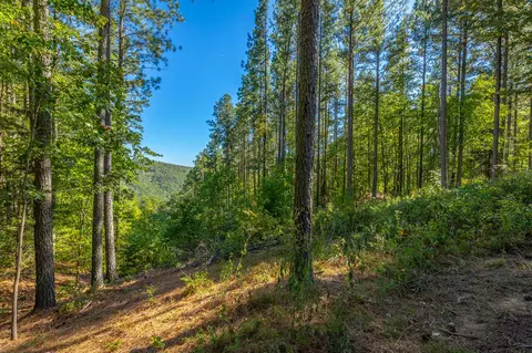 0 Split Rail Way #LOT 1372, Guild, TN 37340 photo 5