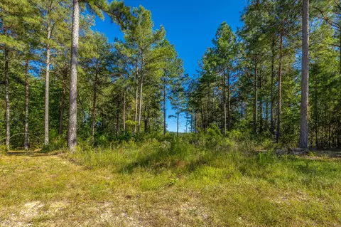 0 Split Rail Way #LOT 1372, Guild, TN 37340 photo 23
