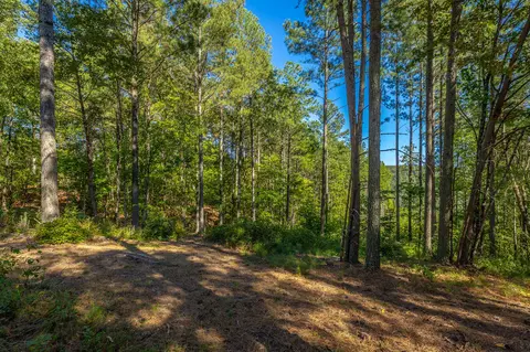 0 Split Rail Way #LOT 1372, Guild, TN 37340 photo 26