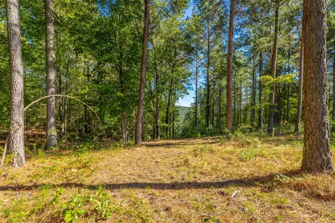 0 Split Rail Way #LOT 1372, Guild, TN 37340 photo 32