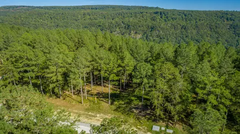 0 Split Rail Way #LOT 1372, Guild, TN 37340 photo 39