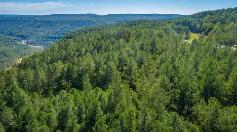 0 Split Rail Way #LOT 1372, Guild, TN 37340 photo 42