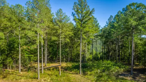 0 Split Rail Way #LOT 1372, Guild, TN 37340 photo 33