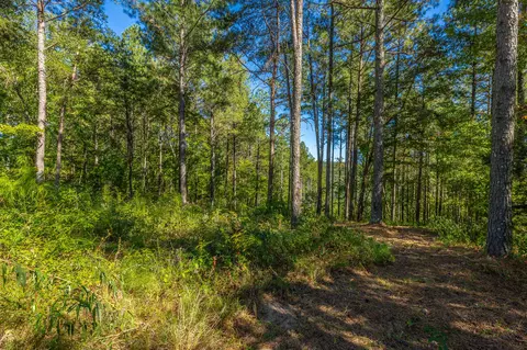 0 Split Rail Way #LOT 1372, Guild, TN 37340 photo 25