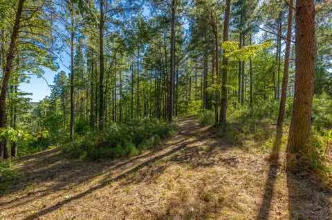 0 Split Rail Way #LOT 1372, Guild, TN 37340 photo 30