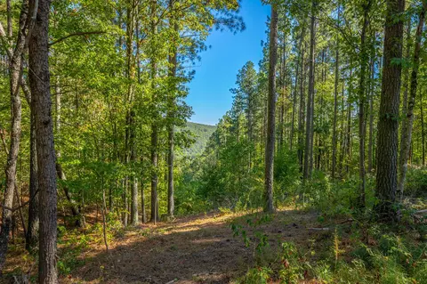 0 Split Rail Way #LOT 1372, Guild, TN 37340 photo 9