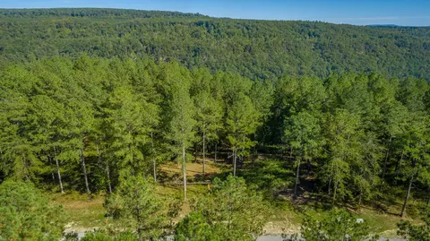 0 Split Rail Way #LOT 1372, Guild, TN 37340 photo 38