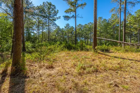 0 Split Rail Way #LOT 1372, Guild, TN 37340 photo 29