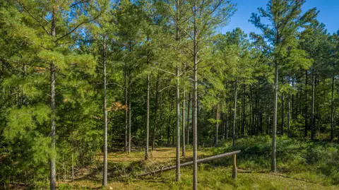 0 Split Rail Way #LOT 1372, Guild, TN 37340 photo 37