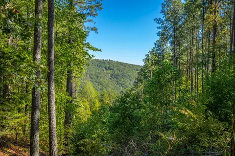 0 Split Rail Way #LOT 1372, Guild, TN 37340 photo 10