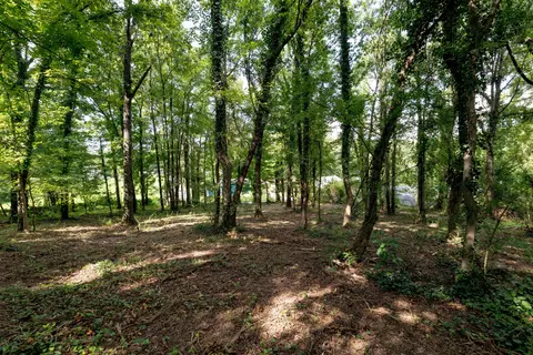 0 Bragg Cir, Rossville, GA 30741