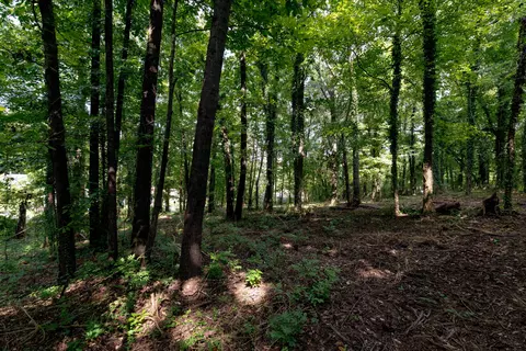 0 Bragg Cir, Rossville, GA 30741