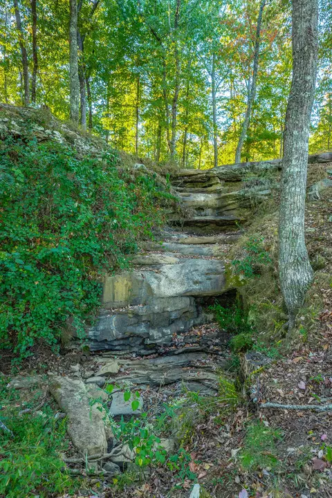 0 Hovering Hawk Dr #RB42, Jasper, TN 37347 photo 81