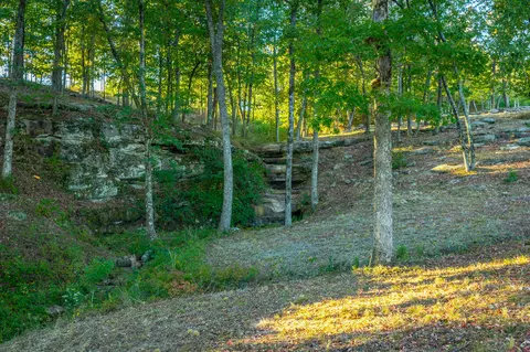 0 Hovering Hawk Dr #RB42, Jasper, TN 37347 photo 80