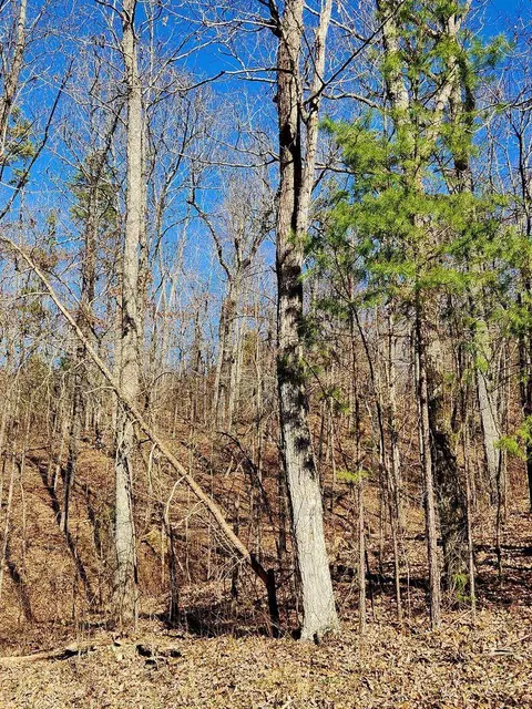 0 Northwoods Ln #15, Trenton, GA 30752