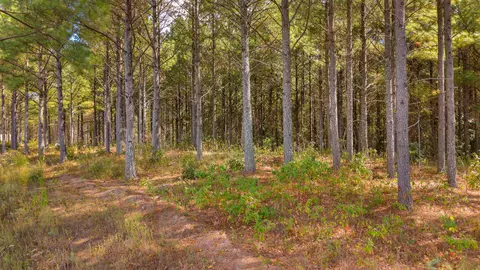 0 Riverbend Rd #LOT 2402, Guild, TN 37340 photo 20