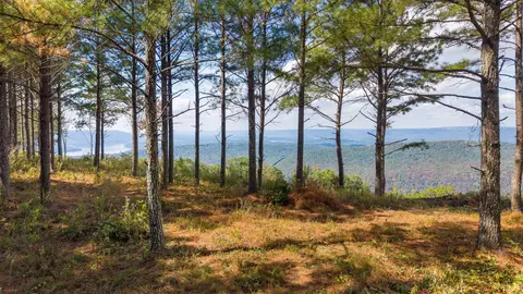 0 Riverbend Rd #LOT 2402, Guild, TN 37340 photo 22