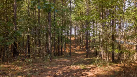0 Riverbend Rd #LOT 2402, Guild, TN 37340 photo 17