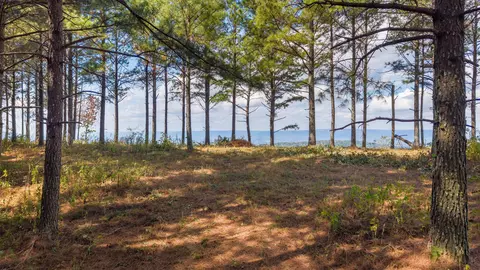 0 Riverbend Rd #LOT 2402, Guild, TN 37340 photo 11