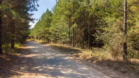 0 Riverbend Rd #LOT 2402, Guild, TN 37340 photo 15