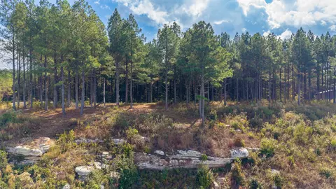 0 Riverbend Rd #LOT 2402, Guild, TN 37340 photo 24