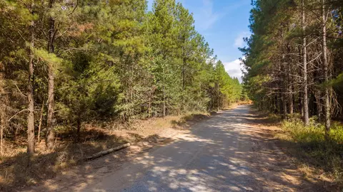 0 Riverbend Rd #LOT 2402, Guild, TN 37340 photo 16
