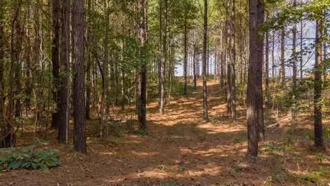 0 Riverbend Rd #LOT 2402, Guild, TN 37340 photo 23