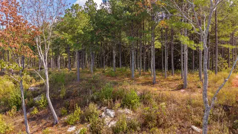 0 Riverbend Rd #LOT 2402, Guild, TN 37340 photo 19