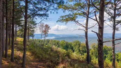 0 Riverbend Rd #LOT 2402, Guild, TN 37340 photo 12
