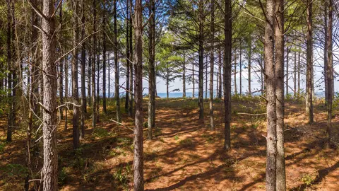 0 Riverbend Rd #LOT 2402, Guild, TN 37340 photo 21