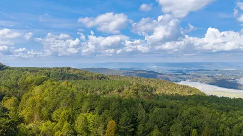0 Top Shelf #2128, Guild, TN 37340 photo 7