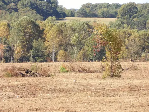 lot25 A Summer City Rd, Evensville, TN 37332