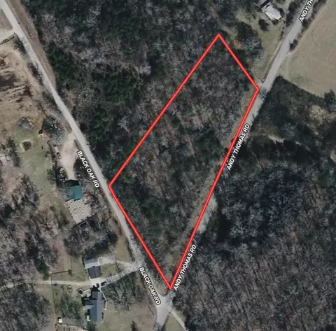 0 Andy Thomas Rd, Sale Creek, TN 37373