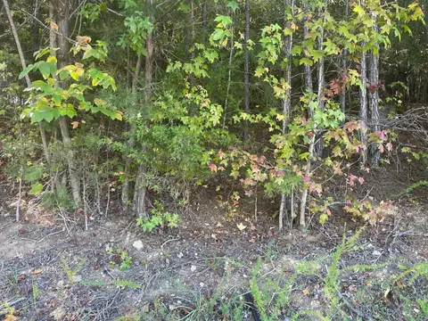 2463 Burton Rd, Sale Creek, TN 37373